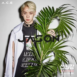 CACTUS | A.C.E Wiki | Fandom