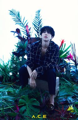 HJZM : The Butterfly Phantasy | A.C.E Wiki | Fandom