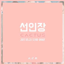 CACTUS | A.C.E Wiki | Fandom