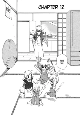 Chapter 12