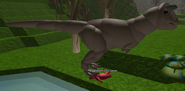 A adult Carnotaurus feasting on a corpse