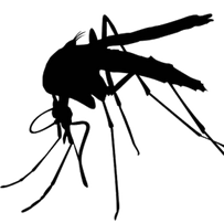 Mosquito-High-Quality-PNG