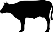 Cow.png