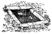 Making Traps.jpg