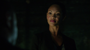 Amanda Waller (1)