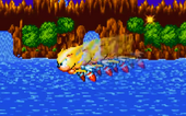 Sonic the Hedgehog (1991), A Gamer's Cheat Codes Wiki