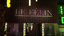 Le Felin.png