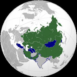 Image-1.png