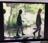 Some kids go on a nature walk. They walk over a stream, under a tree and try to keep their balance while crossing a log before making it to the top of a rocky hill.