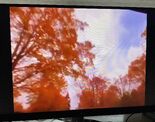 Look at the tree tops above their heads while riding in a car.