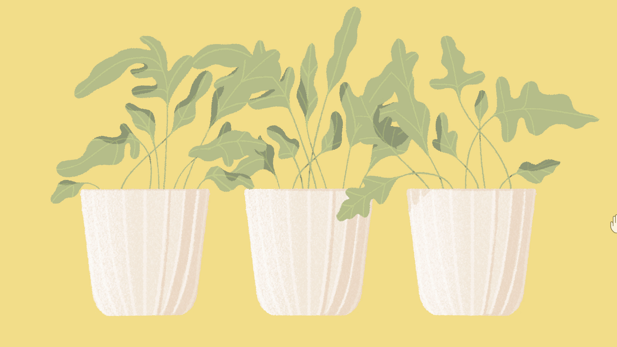 Plant Pots | A little to the Left Wiki | Fandom