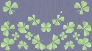 Clovers solved