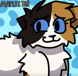 Maplestar | A New Clan Wiki | Fandom