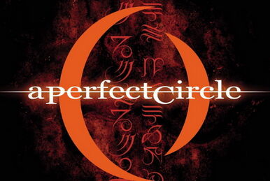 A Perfect Circle | A Perfect Circle Wiki | Fandom