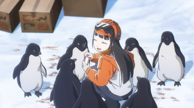 Shirase is greeted by some penguins