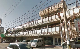 Tatebayashi Plaza 01.png (1.15 MB) This shopping plaza was torn down in 2021. It was just east of Tatebayashi Station