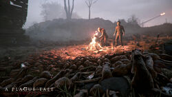 A Plague Tale: Innocence, A Plague Tale Wiki