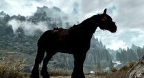 Black Horse Skyrim.jpg