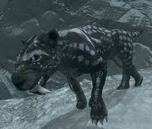 Vahl Sabre Cat