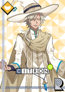 Citron R The Wonderful Charlatan of Oz unbloomed
