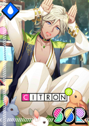 Citron SSR The Petting Zoo's Favorite unbloomed
