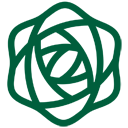 Ranunculus (colored)