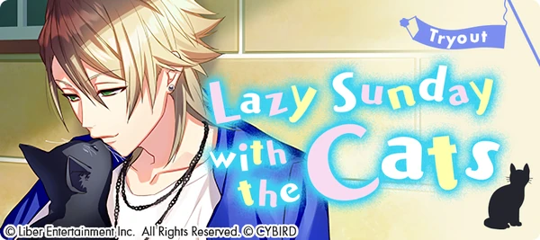 Lazy Sunday with the Cats Tryouts