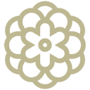 Chrysanthemum (colored)