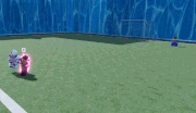 Crazy Diamond Bearing Shot