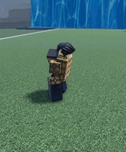 Joseph Ripple Charge