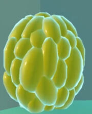 Picture of a Hornet Nest