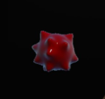 924b6b20b72d9ec8836004d125df461c.png