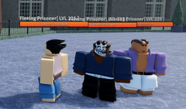 Prisoner Group