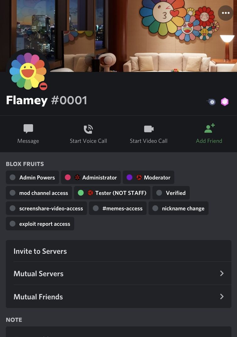 Why is flamey in blox fruits discord server