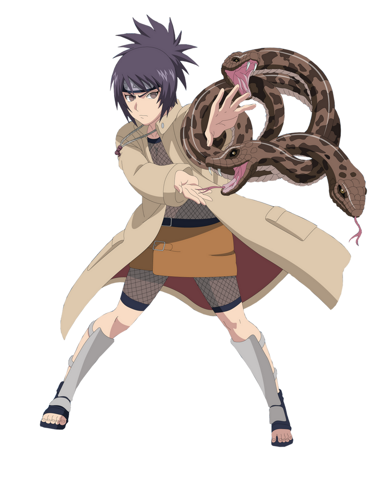 Fandom Image