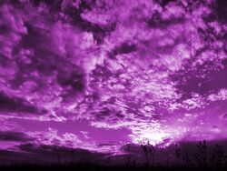 Purple sky.jpg