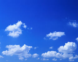 Sky Blue sky.jpg