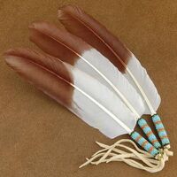 Native-American-Indian-Feathers.jpg