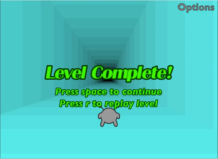 THE 2008 RUN!! Fandom