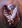 Hawkheart24