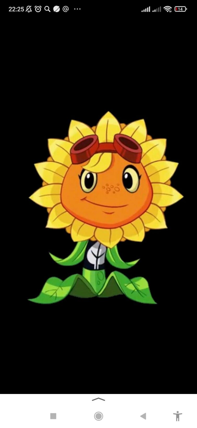 Sunflower hero