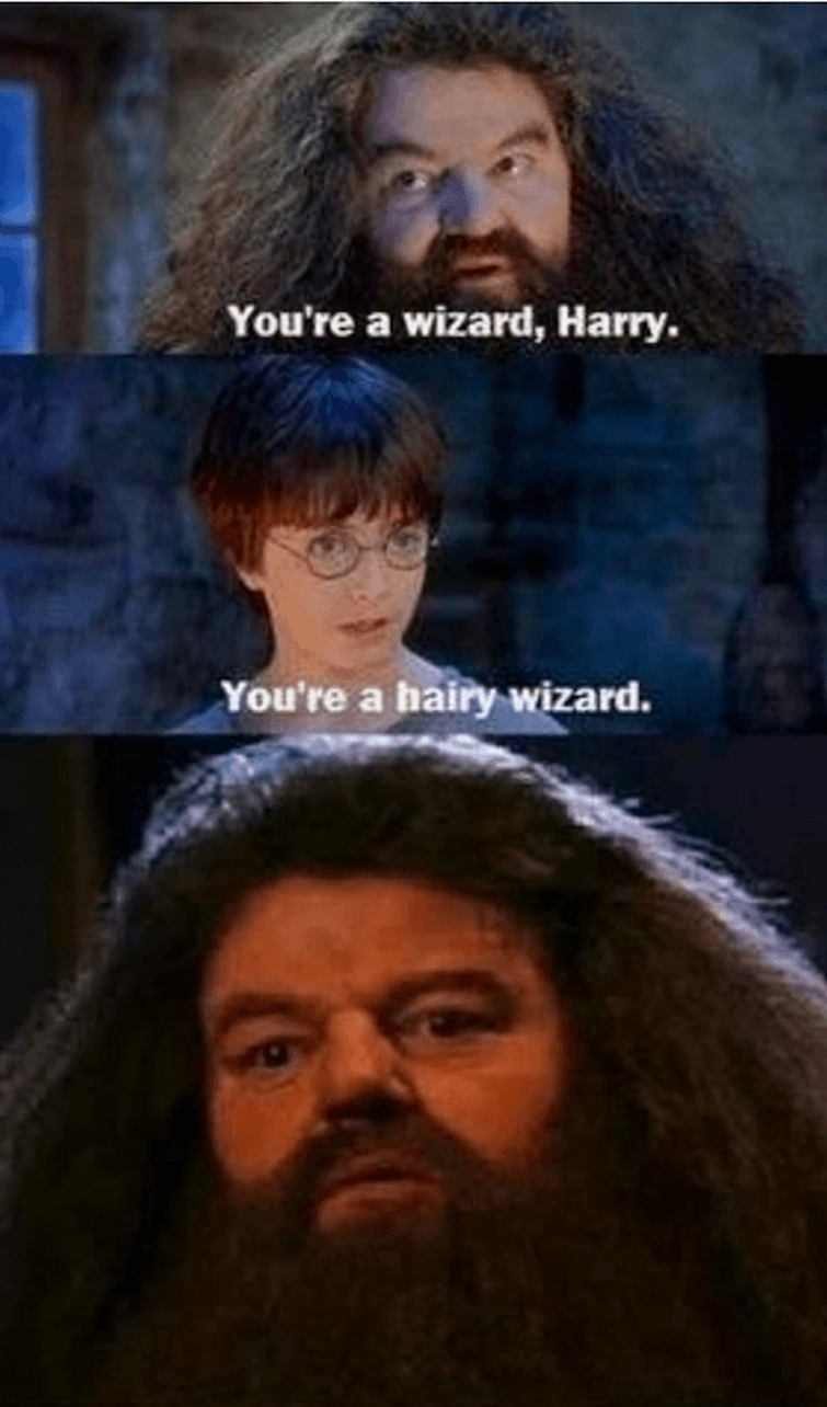 Yer a wizard, Harry. You’re a hairy wizard. BURN!!!!!!!!! Fandom