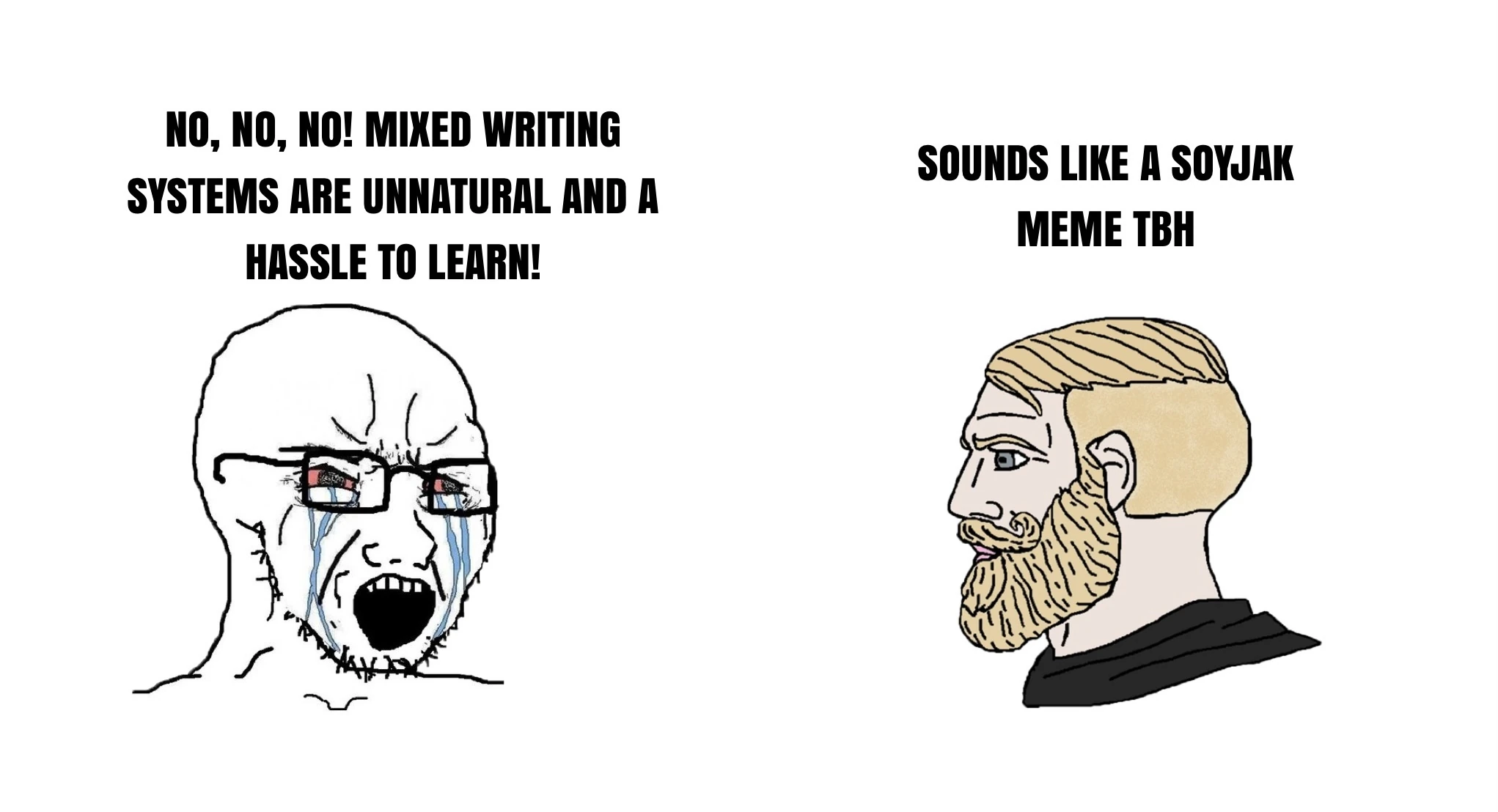 I turned it into a meme Fandom