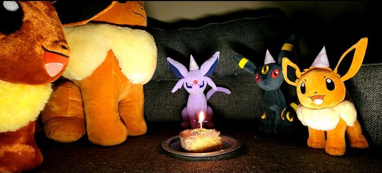 eevee plush- I have all of them. no dessert, though