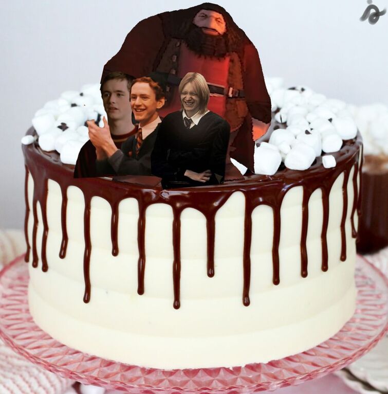 Fandom Image
