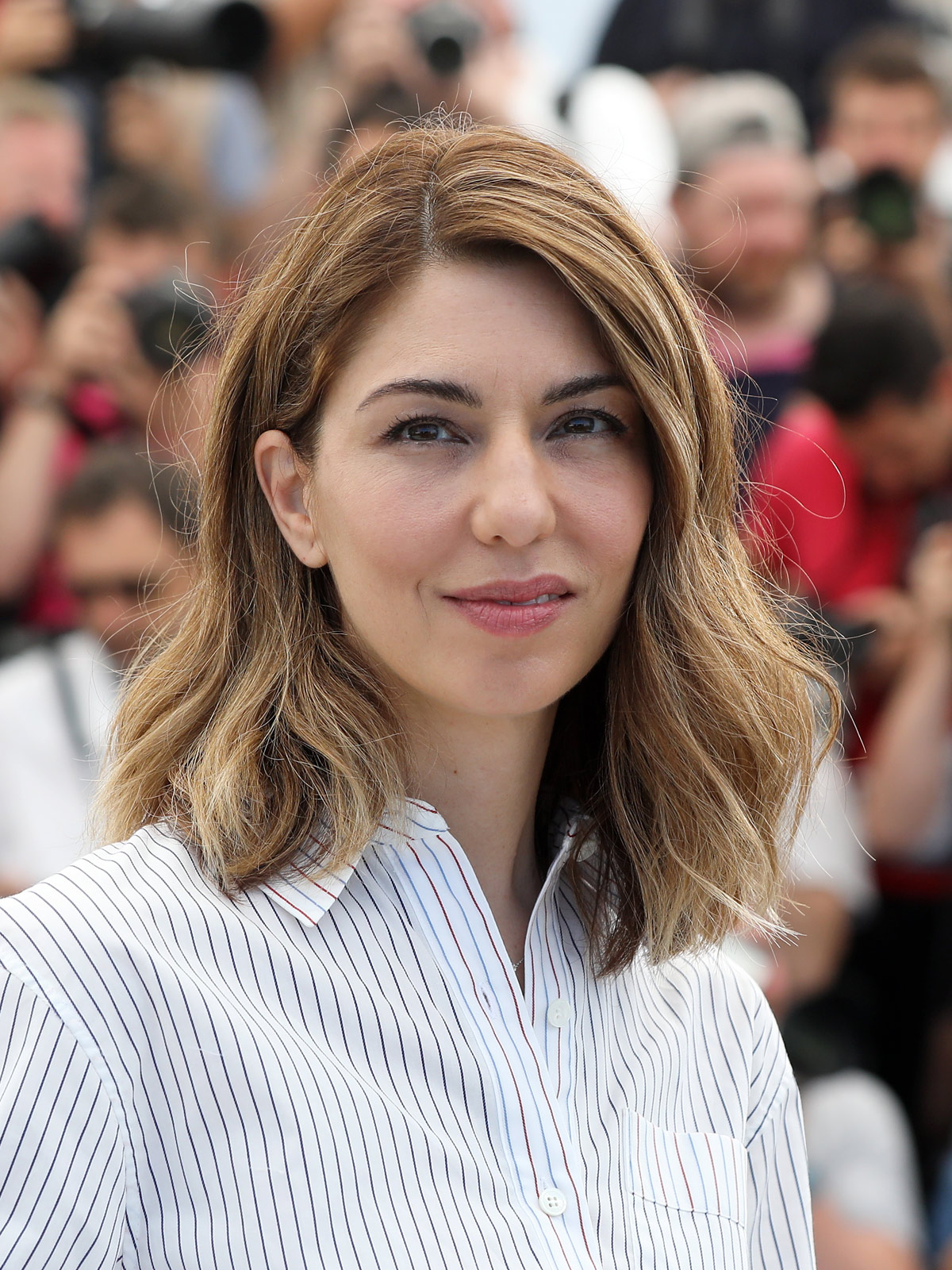 Sofia Coppola A24 Films Wiki Fandom