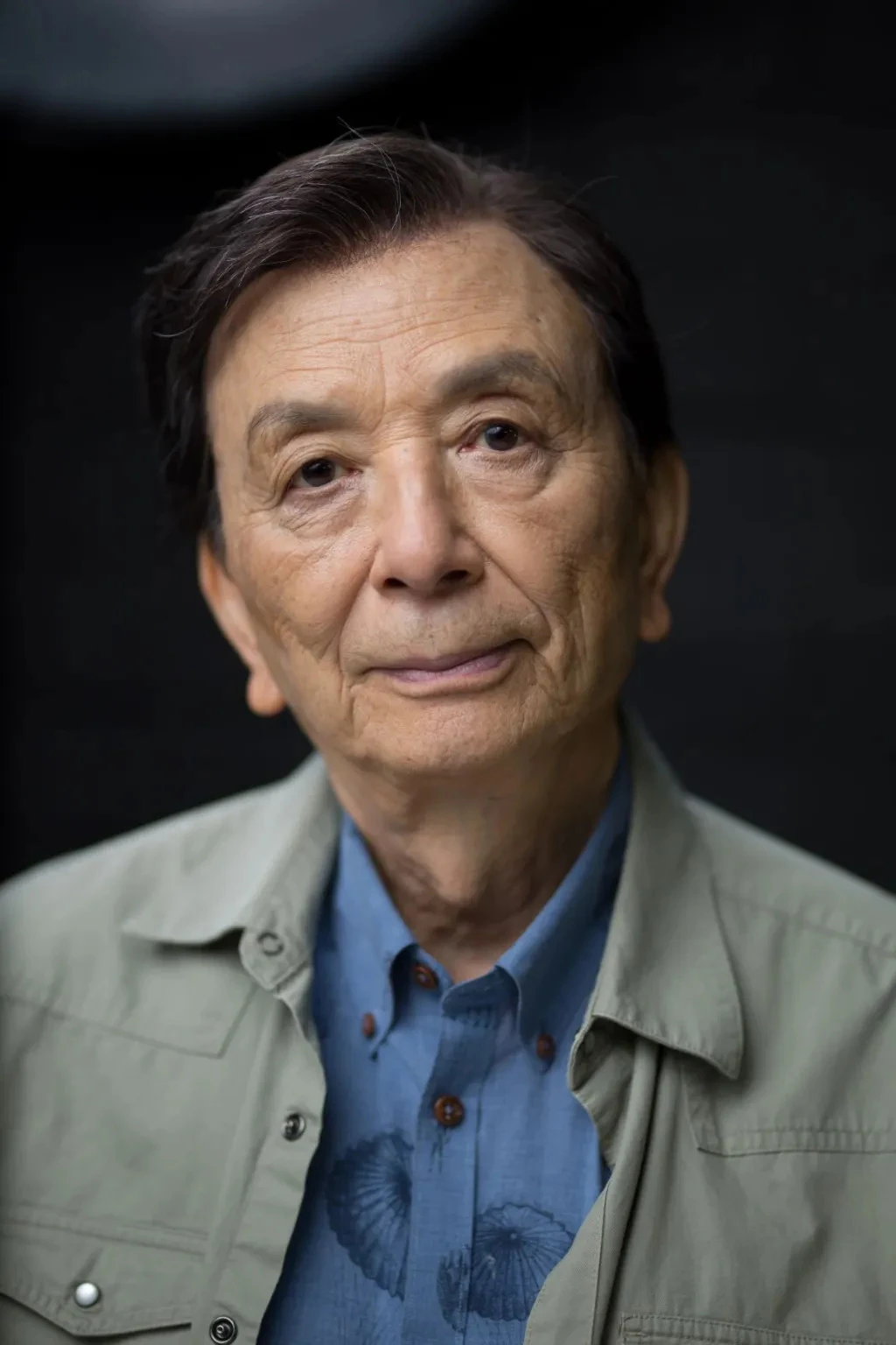James Hong A24 Films Wiki Fandom