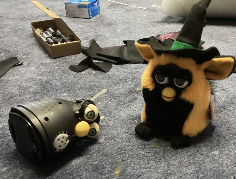 Fandom Image