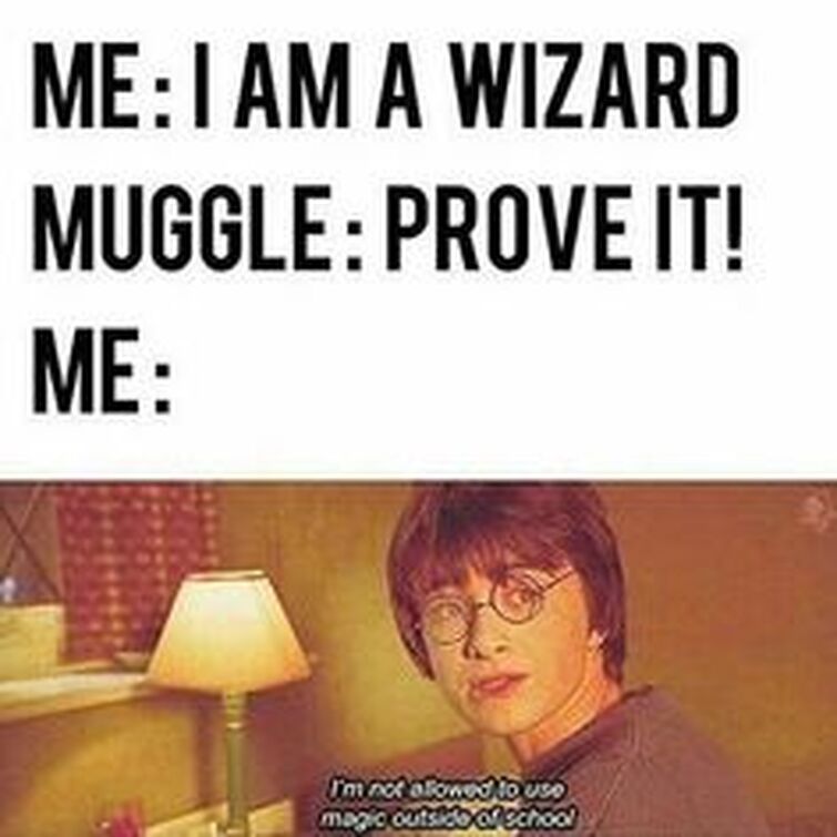 Terrible Harry Potter memes I found on Pinterest PT. 2