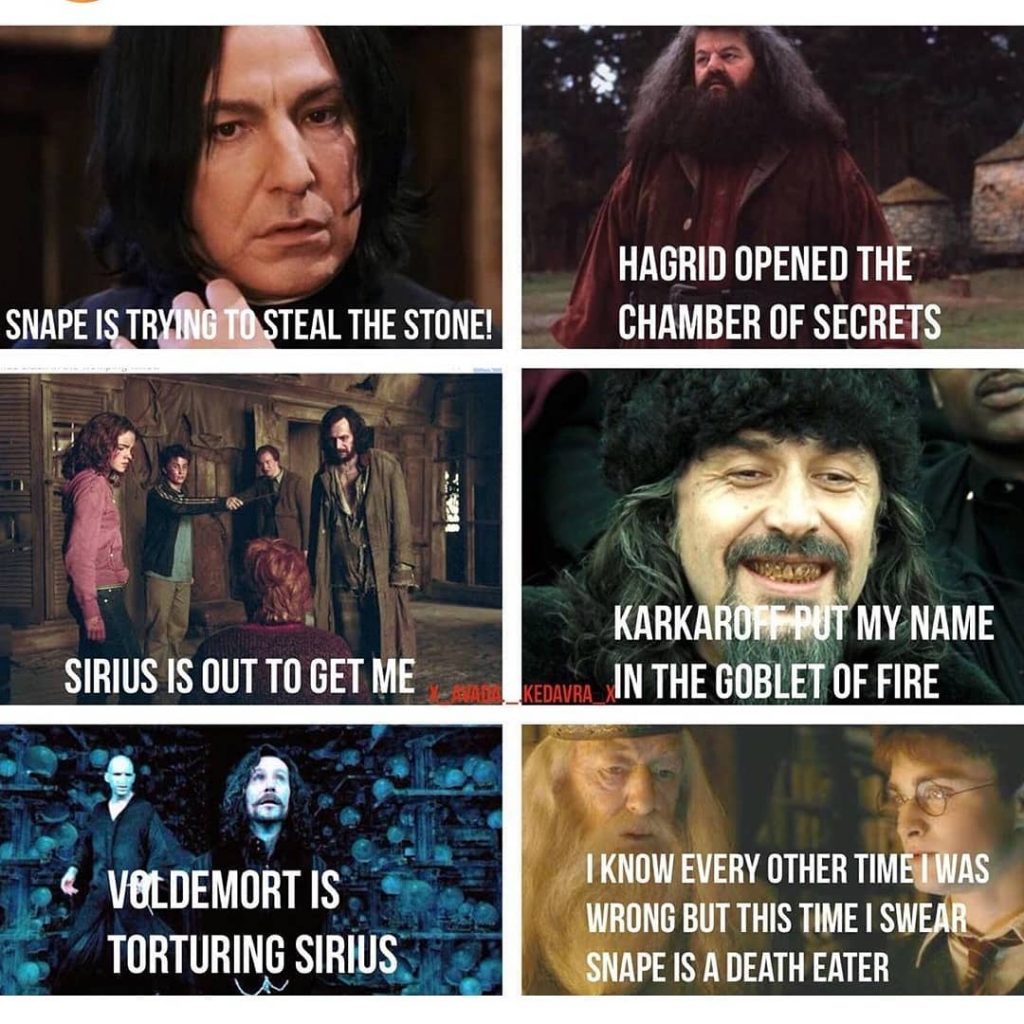 What Is Your Favorite Harry Potter Memes Fandom